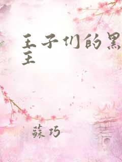 王子们的黑道公主