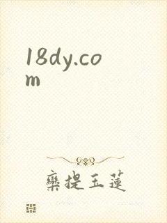 18dy.com