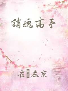 销魂高手
