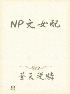 NP文女配