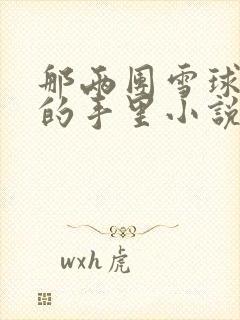 那两团雪球在他的手里小说