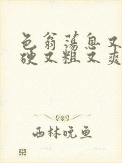 色翁荡息又大又硬又粗又爽电影