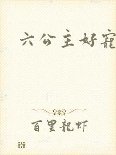 六公主好宠