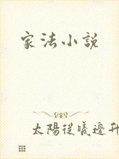 家法小说