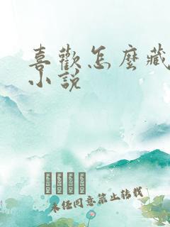 喜欢怎么藏不住小说