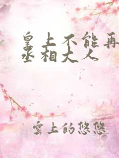 皇上不能再进了丞相大人