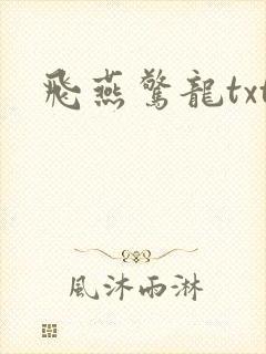 飞燕惊龙txt
