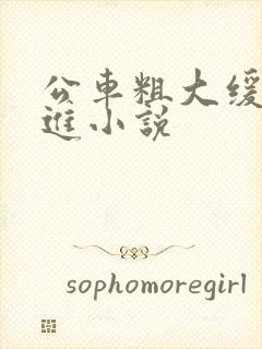 公车粗大缓缓挤进小说