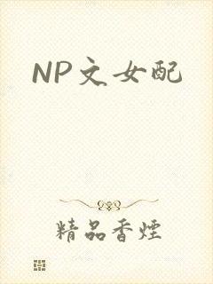 NP文女配