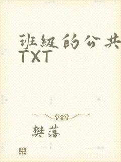 班级的公共玩具TXT