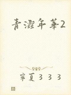 青涩年华2