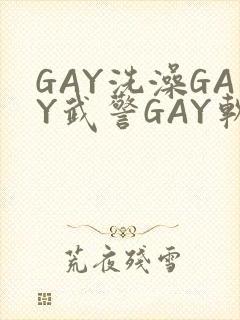 GAY洗澡GAY武警GAY软件