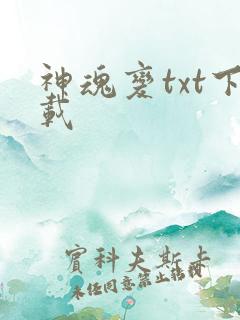 神魂变txt下载