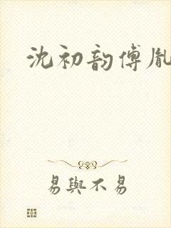 沈初韵傅胤小说