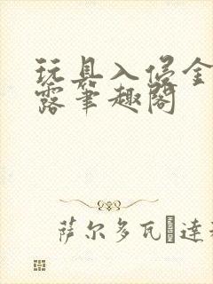 玩具入侵金银花露笔趣阁