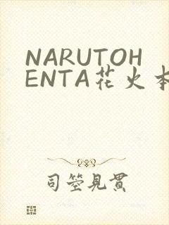 NARUTOHENTA花火本子