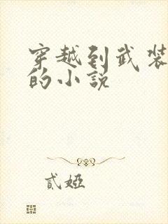 穿越到武装少女的小说