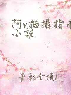 阿v拍摄指南说小说