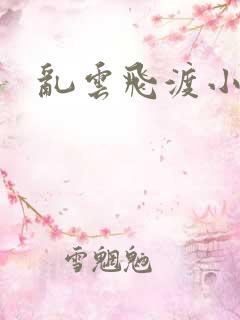 乱云飞渡小说