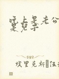 晚上是老公白天是儿子