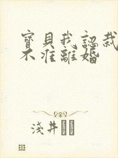 宝贝我认栽老婆不准离婚