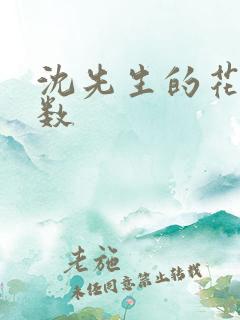 沈先生的花式调数