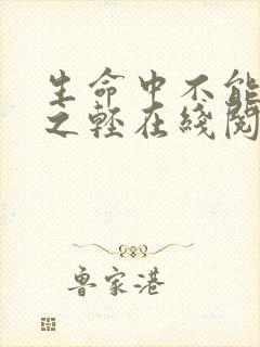 生命中不能承受之轻在线阅读