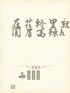 在花轿里就开始圆房高辣h