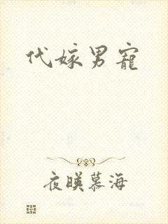 代嫁男宠