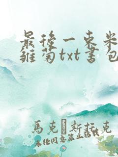 最后一束米迦勒雏菊txt书包网