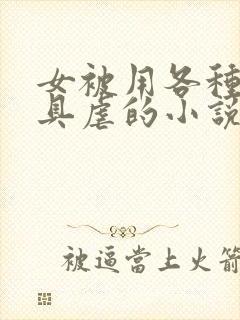 女被用各种性器具虐的小说