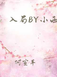 入局BY小西