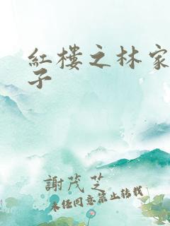 红楼之林家庶长子