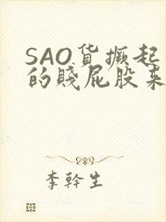 SAO货撅起你的贱屁股来