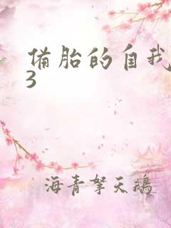 备胎的自我修养3