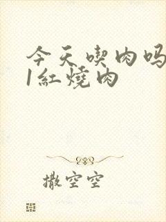 今天吃肉吗1V1红烧肉