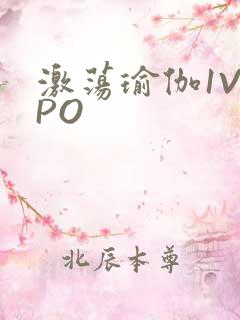 激荡瑜伽1V2PO