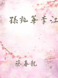 孙兆华李江小说