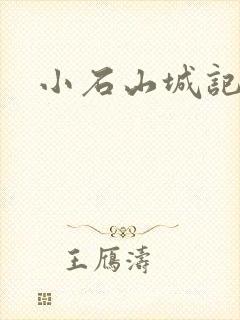 小石山城记