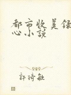 都市收美录宁素心小说