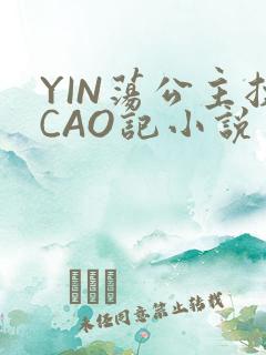 YIN荡公主挨CAO记小说