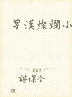 星汉灿烂小说