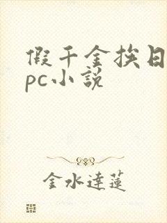 假千金挨日记npc小说