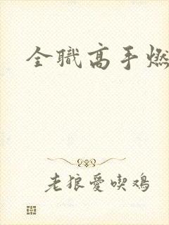 全职高手燃文