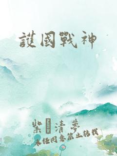 护国战神