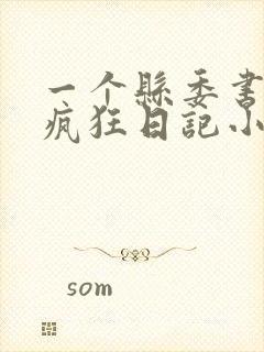 一个县委书记的疯狂日记小说