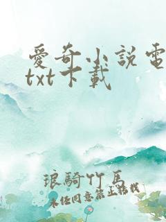 爱奇小说电子书txt下载