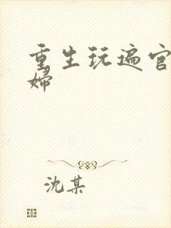 重生玩遍官场贵妇