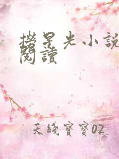 捞星光小说免费阅读