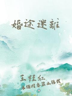婚途迷离